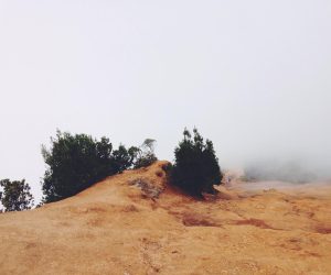 Iusto et aliquid sit rerum possimus sint